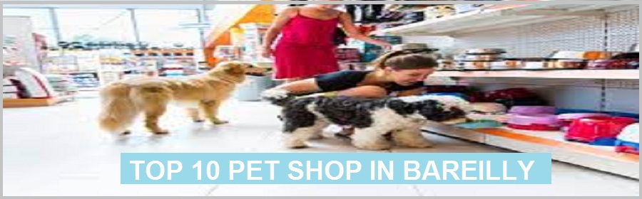 Top 10 Pet Shop in Bareilly